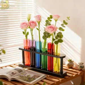 6 Test Tube Transparent Vase Plant Growing Container with Stand, Hydroponic Plant Growing Container, Creative Propagation Container, Science Theme Instrument Desktop Plastic Plant Propagation Station with 6 Test Tubes Hydroponic Plants Cutting Office Home