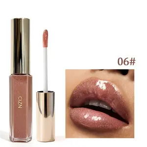 Shimmering Water Lip Gloss, Long-Lasting Hydrating, Non-Drying, Fast Drying, Suitable for All Skin Types, Perfect Holiday Gift
