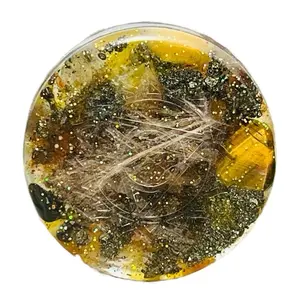 8th (Soul Star) Higher Heart Chakra Orgonite infused with STARGATE Sands, High Frequency Crystals, Grounding Crystals & Organic Metals for EMF Protection, light body activation & energy 12th Dimensional Grid