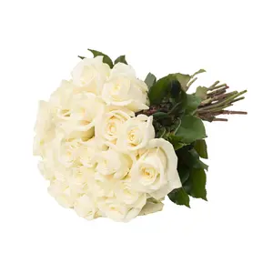24 Farm Fresh White Roses