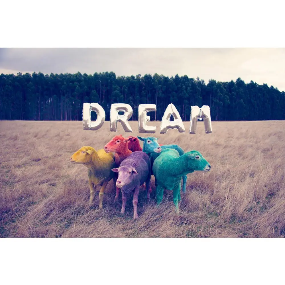 Dream