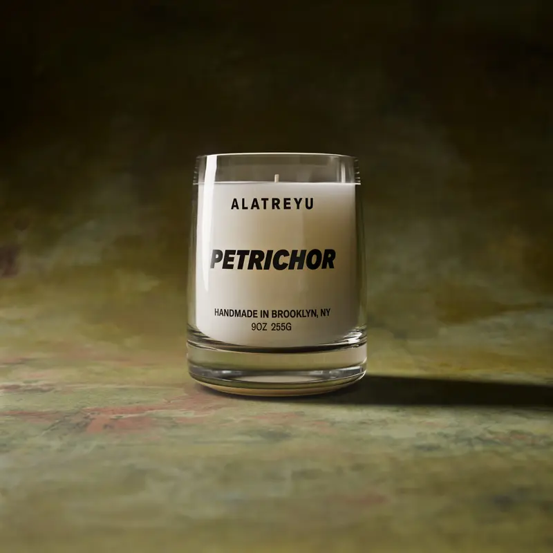 Petrichor Scented Candle, Wet Earth, Summer Ozone and Ferns, The Smell of Rain on Dry Soil, Hand-Poured Soy Wax Candle, Pay What You Can