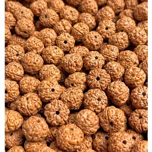 Premium Rudraksha Beads - Natural 5-Mukhi Rudraksha Seed Beads for DIY Bracelet & Mala Making