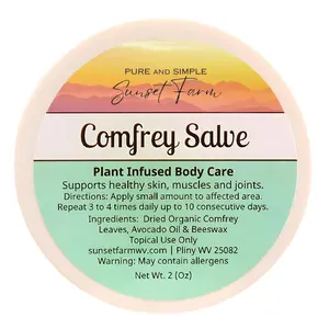 Organic Non-GMO Small-Batch Herbal Comfrey Salve Balm Family Made in WV 2 oz Jar