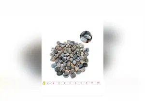 Black Moonstone Tumbled Stones | Wholesale