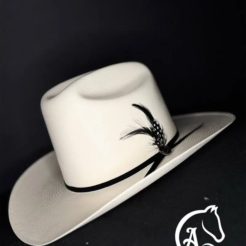 Sinaloa-Style Cowboy Hat Edition with Black Feather, Classic Design, and Casual Style