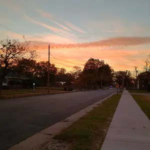 review image 5