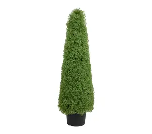 Northlight 4' Boxwood Cone Topiary Tree in Round Pot