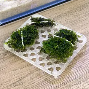 Moss Tables for Aquarium – Live Moss Grow Platform, Aquascape Plant Shelf, Betta Tank Decor, Shrimp Tank, Moss Wall, Aquatic Plant Holder