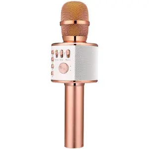 Karaoke Microphone,3-in-1 Portable Handheld Karaoke Mic Speaker Machine  Party Birthday for  Smartphones PC(Q37 Rose )