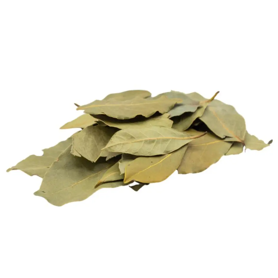 Bay Leaf (Wisdom & Protection)