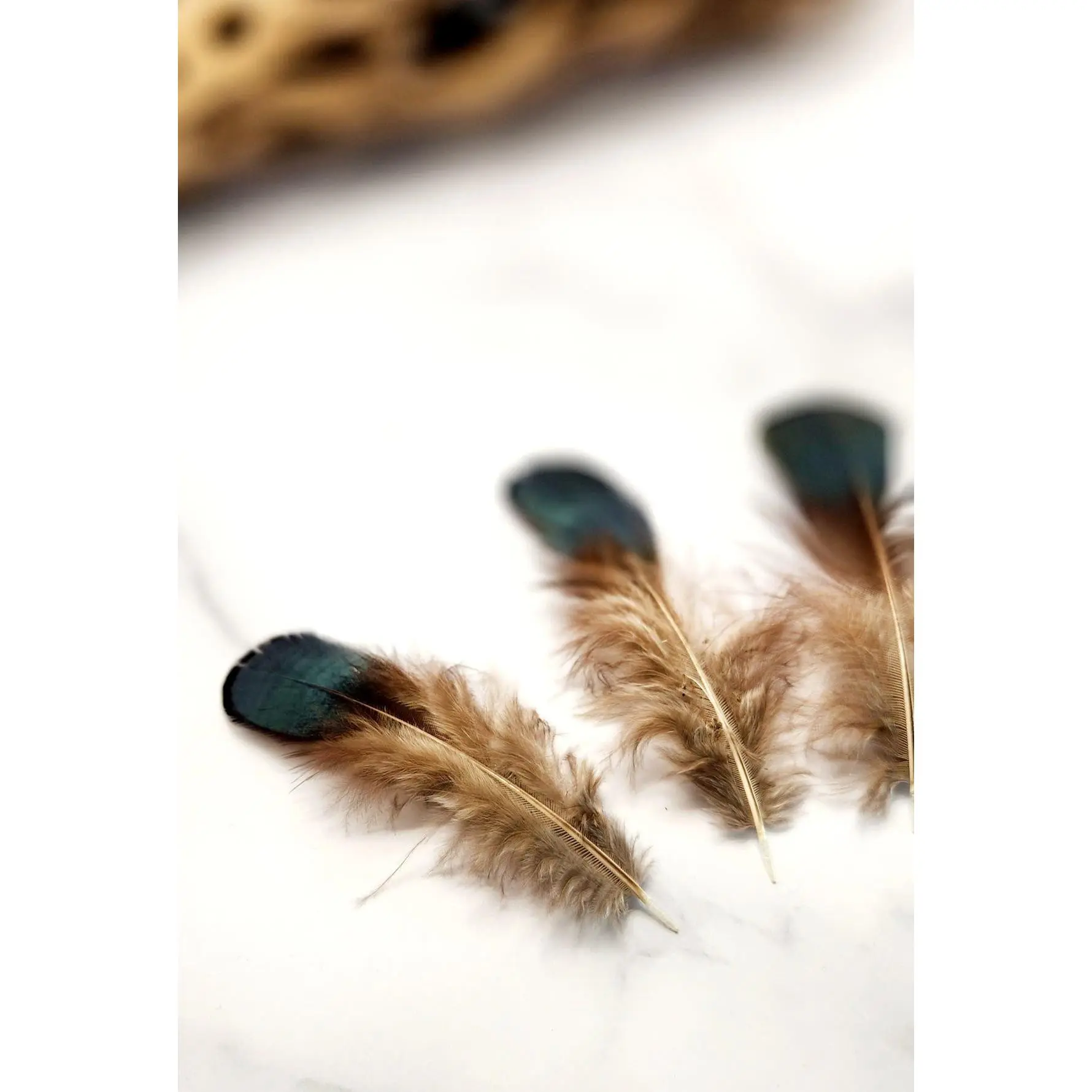 Feather Centerpiece #3