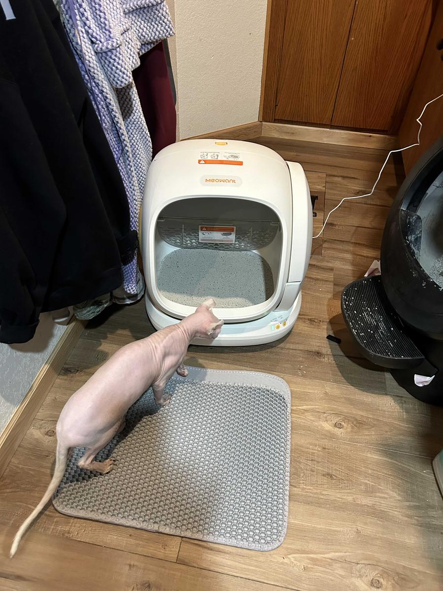 Item: 1 Cat Litter Box