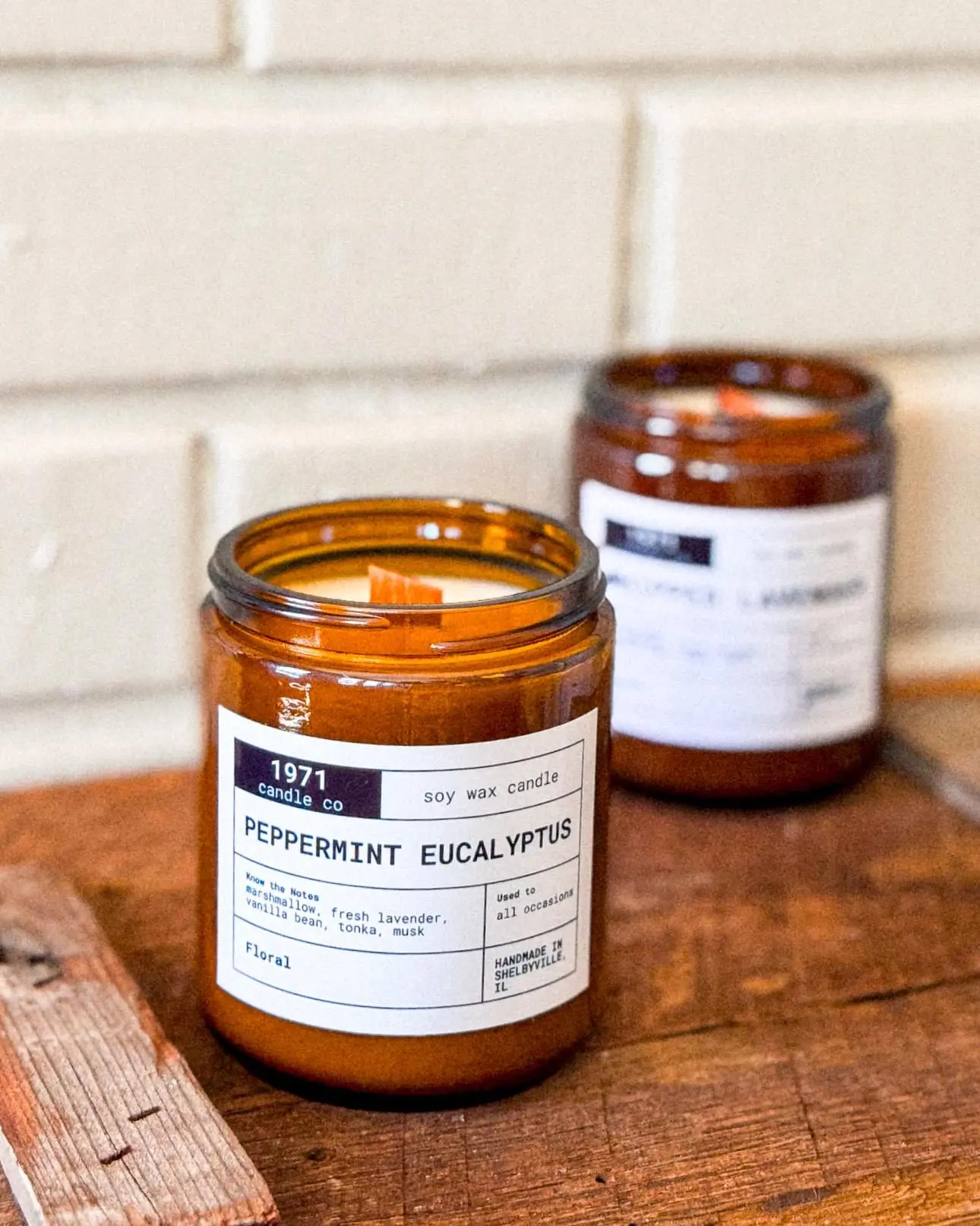 Peppermint Eucalyptus Soy Candle: Aromatherapy Spa Scent