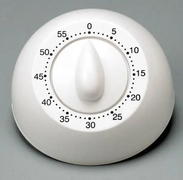 Taylor Precision Long Ring Mechanical Timer 5832