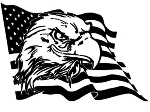 Eagle Head And American Flag Decal