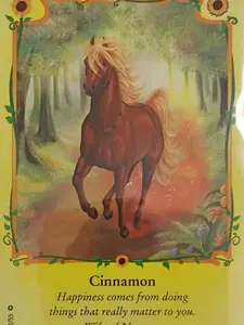 Bella Sera Trading Cards