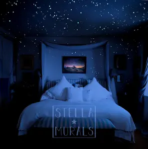 Glow in the Dark Star Stickers | 3D Glow in Dark Star Ceiling | Super Bright, Realistic Night Sky | Unique Starry Night Home Decor | + Moon