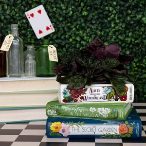 Ceramic Plant Pot for Home Decoration, Original Small Book-Shaped Decorative Planter, Perfect Gift for Book Lovers & Houseplants