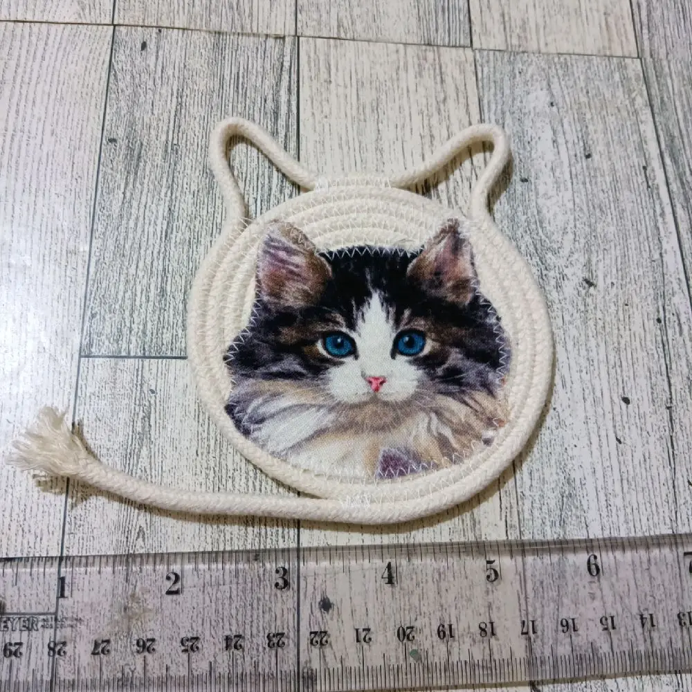 cat coaster
