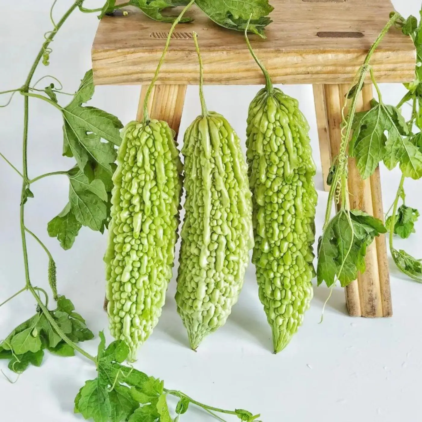 Bitter Melon Seeds 55PCS Heirloom Vegetable Seeds Home Garden Planting Semillas de Melón Amargo