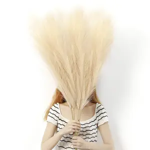 4 Pcs Dried Pampas Grass Decor 44 Inch Tall Pompas Floral Dry Flowers for Decoration Artificial Pampas Grass Home Decor for Boho Wedding-Beige Bouquet Decorative Fruit Plants-C