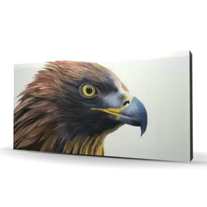 360 Stand Western Brown Wall Print Artwork - 24x48 in. Brown-Headed Eagle Nature Photo, Artistic Home Decor, Ideal Room Gift for Home Supplies