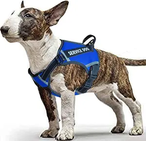 Service Dog Harness,No-Pull Dog Harness with Handle Adjustable Reflective Pet Dog in Training Vest Harness,Easy Control for Small Medium Large Breed Outdoor Walking Hiking Adjustable Breathable reflective pet small medium pet collar