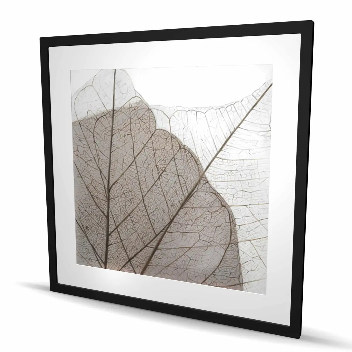 Begin Home Decor C1FM363682M239 36x36 in. Artistic Translucent Dried Leaves Framed Artwork - Nature Decoration, Living Room Accent, Ideal Gift for Home Supplies