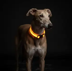 LED Glow in the Dark Dog Leash & Collar – Nylon Luminous Flashing Night Safety Set