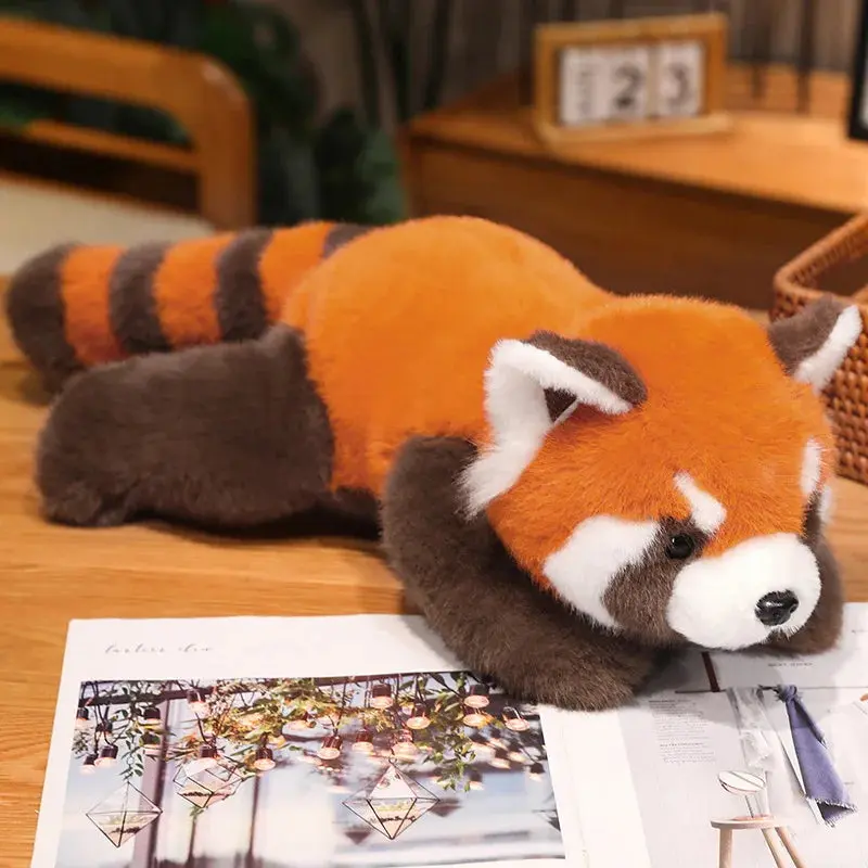 Orange Raccoon