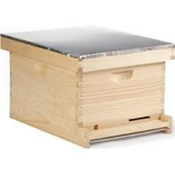 Complete Bee Hive