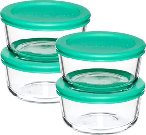 2 Cup Glass Storage Containers with Mint SnugFit Lids Set of 4 Clear Glass Food Storage Containers for Fruits Vegetables and More