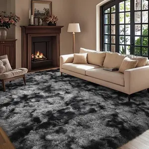 Shag Area Rugs for Bedroom Living Room,Ultra Soft Fluffy Area Rugs for Dorm, Indoor Carpet Nursery Rugs for Kids Room Home Decor