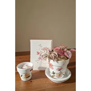 Mother’s Garden Gift Set - Floral Potted Plant, Matching Candle and Card