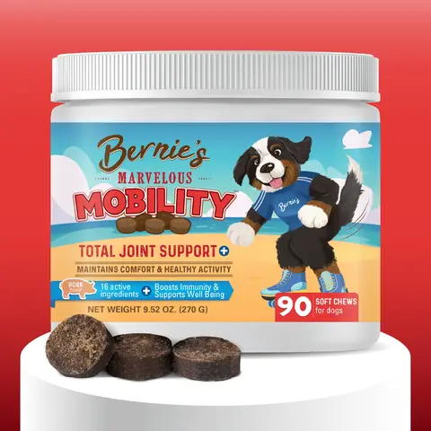 Bernie's Marvelous Mobility