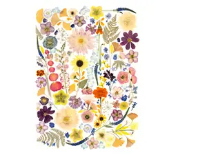 Tea Towels