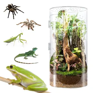 Micro Acrylic Reptile & Insect Enclosure - Seamless, Waterproof with Cross Ventilation & Front Door, Perfect Size for Spiders, Frogs & Small Reptiles