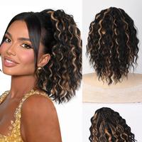 Dark Brown with Golden Blonde Highlights