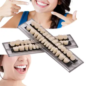 28Pcs A2 Shade Solid Acrylic Resin Denture Teeth, Realistic Synthetic False Tooth Kit for Halloween Horror Makeup Prop, Dental Teaching Model and School DIY Projects