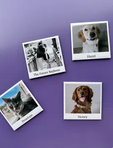 GoldenDayz Personalized Photo Magnets | Polaroid and Full Frame Option Decor Gift