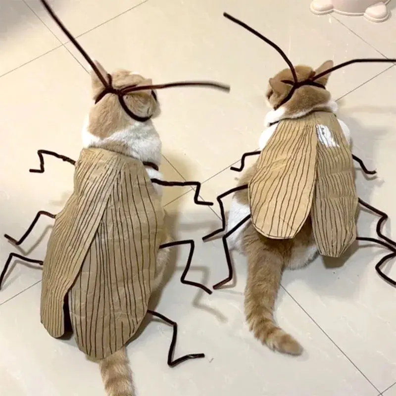 Funny Cockroach Cat Costume with Detachable Wings, Halloween Pet Outfit for Cats, Cosplay Party Clothing