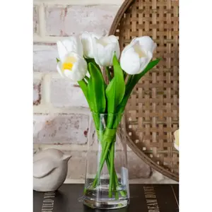 Tulips In Glass Vase Tulips In Glass Vase