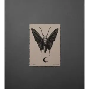 Moth 6 - High-Quality Print