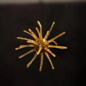 Sea Urchin