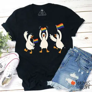 Rainbow Silly Goose Teacher T-Shirt