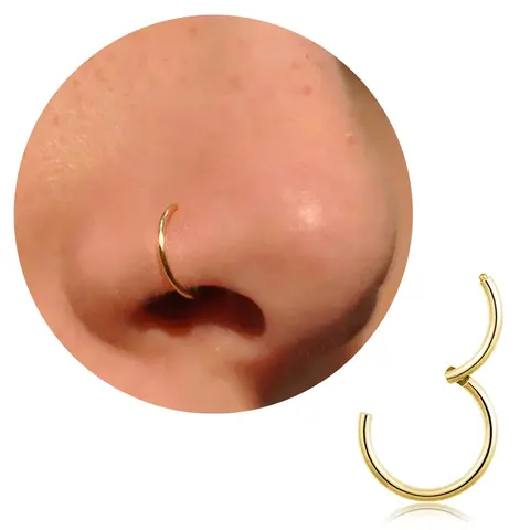 20G Titanium Nose Rings Hoops, Silver-Gold Cartilage Hoop Earrings for Women - Septum Piercing Jewelry for Tragus, Conch, Helix, Daith, Lip (Sports & Outdoor Fitness Ab Training Accessory)