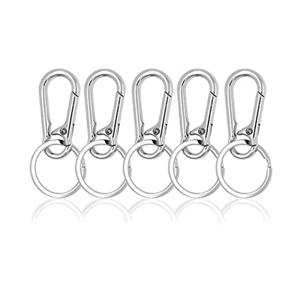 5 PCs Metal Carabiner Keychain Clip Key Ring Clips Key Chain Clip Organizer for Car Key Finder