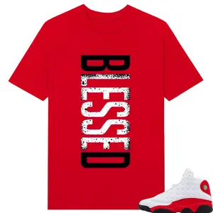 BLESSED , 13 Chicago Red match tee, Shirt to match snearker