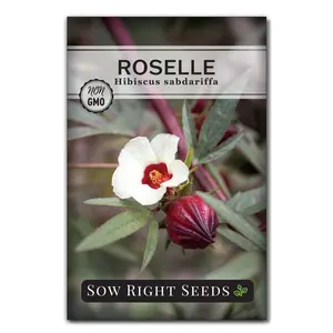 Roselle Seeds